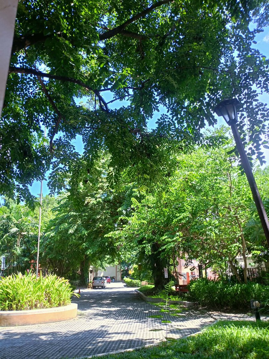 twofordk's tweet photo. ako lang ba yung studyanteng laging nakatambay park ng campus at nagbabasa lang ng book while listening to clairo? https://t.co/OhNYIKn33E