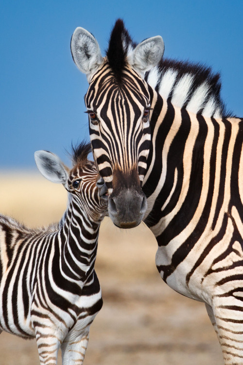 nature4u9's tweet photo. https://t.co/YwULfQpmA7