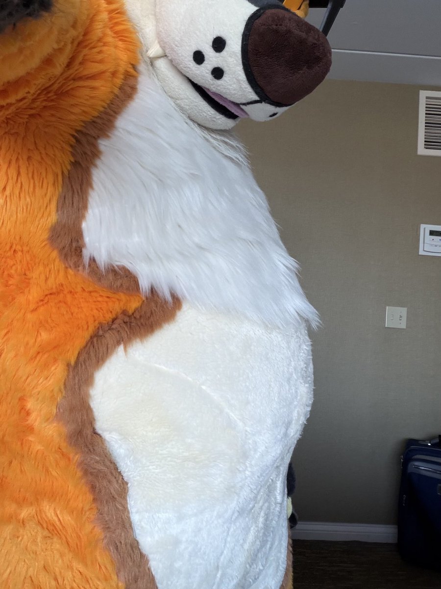 RileyRilesFox's tweet photo. Good morning https://t.co/Hq9zJP7KdP