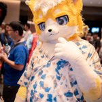 Photo by ⚡頹廢小雷⚡RAI ライ😸 (@RaiChanLab)
