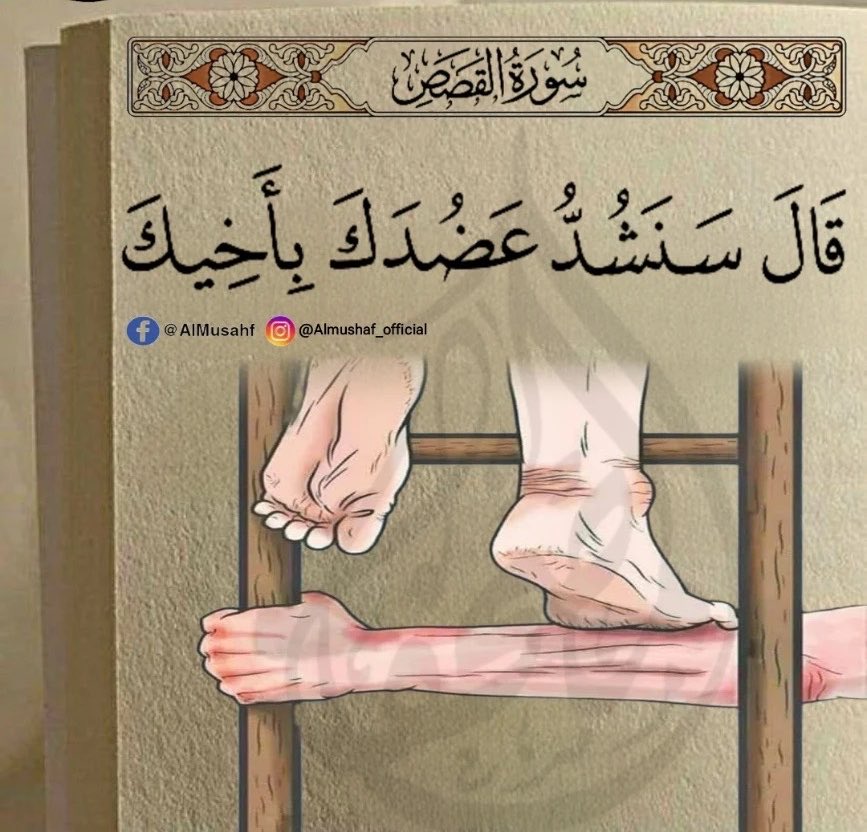 79mariam11's tweet photo. الأخ هو رفيق العمر وسندُ القلب وقت الشدّة،
هو ذلك الظهر الذي تميل إليه دون خوف، 
والطمأنينة التي لا تُعوَّض مهما تغيّرت الحياة...٠🦋🕊 https://t.co/LDNiIdMjSR