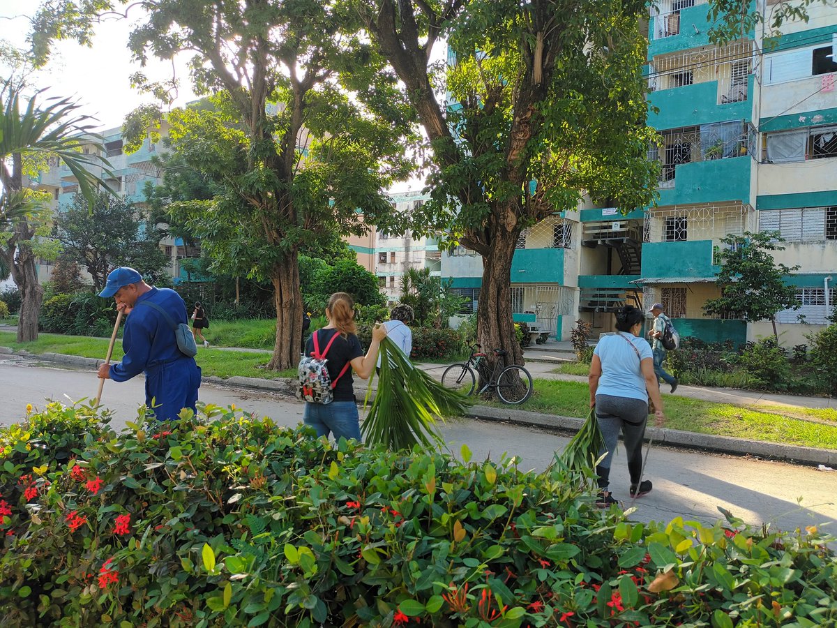 ETECSAGranma's tweet photo. #UnidosxCuba mi ciudad limpia y saludable. Hoy fue jornada de trabajo en los alrededores de #Etecsa Jesús Menendez, Antonio Guiteras. #ProvinciaGranma https://t.co/OrEgyrm4VM
