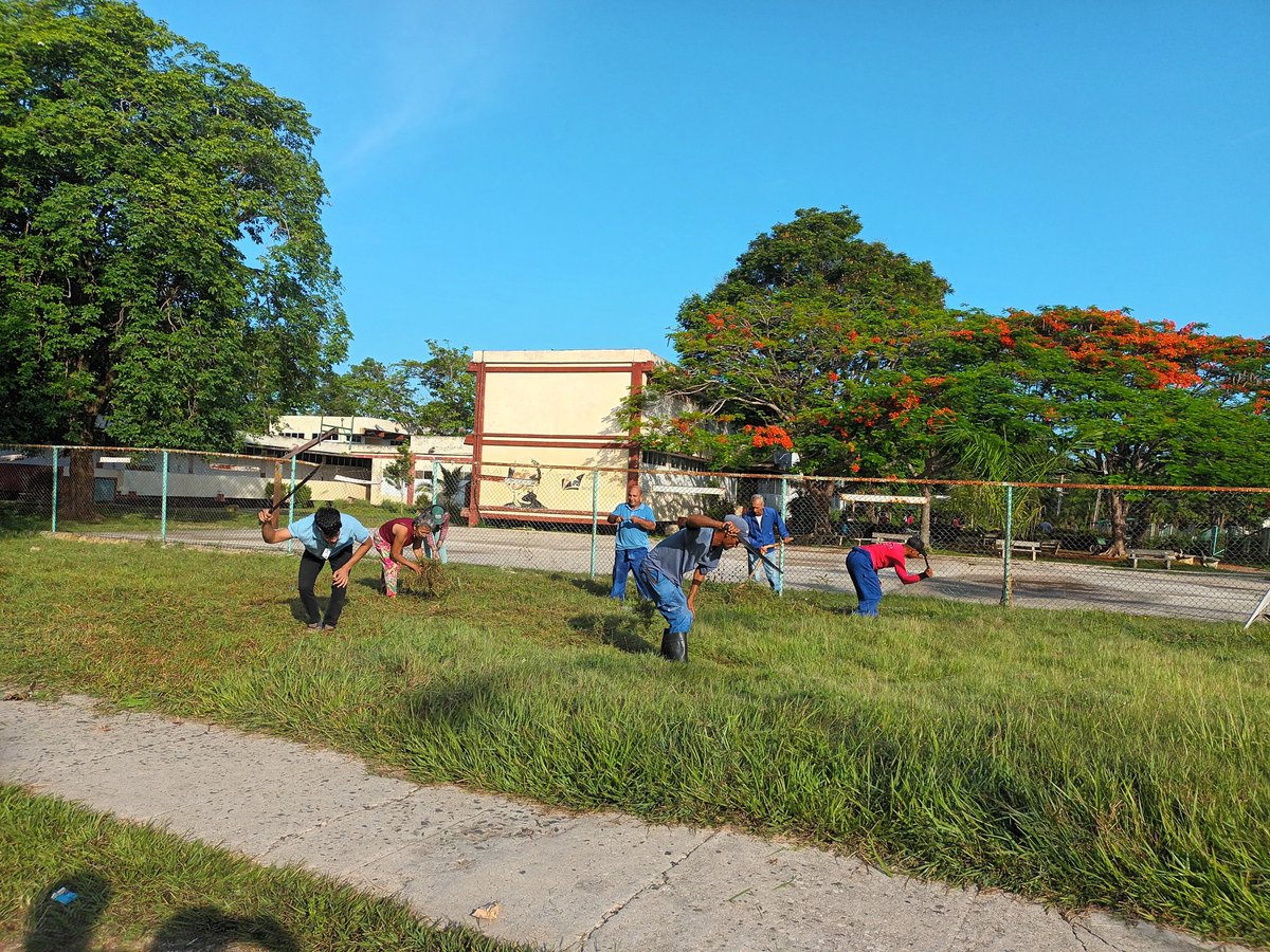 ETECSAGranma's tweet photo. #UnidosxCuba mi ciudad limpia y saludable. Hoy fue jornada de trabajo en los alrededores de #Etecsa Jesús Menendez, Antonio Guiteras. #ProvinciaGranma https://t.co/OrEgyrm4VM