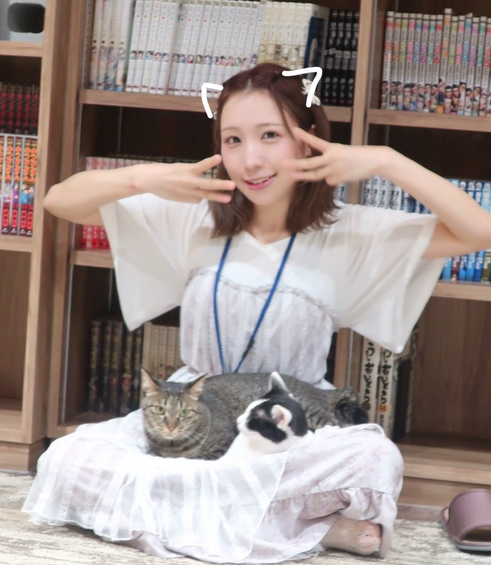 asaka_hime's tweet photo. 猫が3匹 https://t.co/tkIx2tNAle