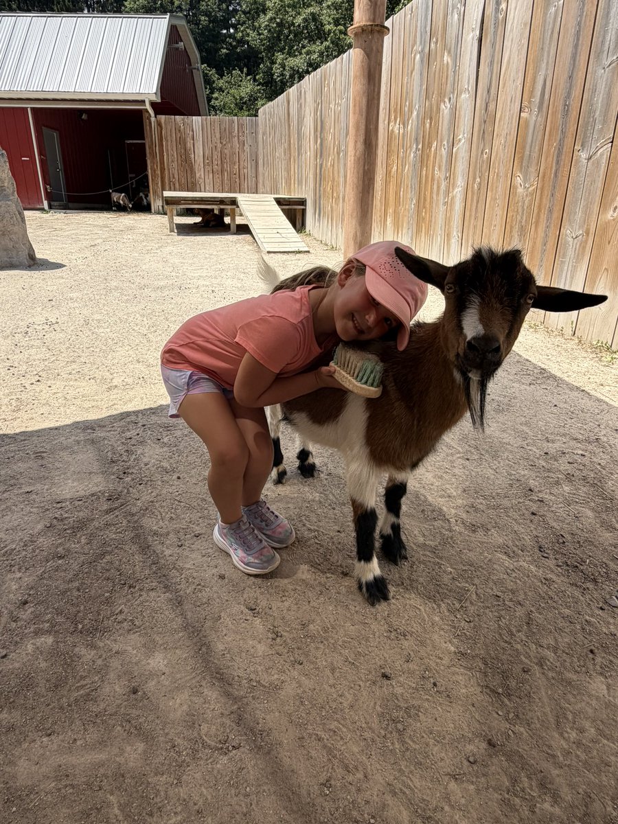 DSabock's tweet photo. Question of the day *** should we buy a dog 🐕 or goat 🐐 https://t.co/PjZ4vkGn50