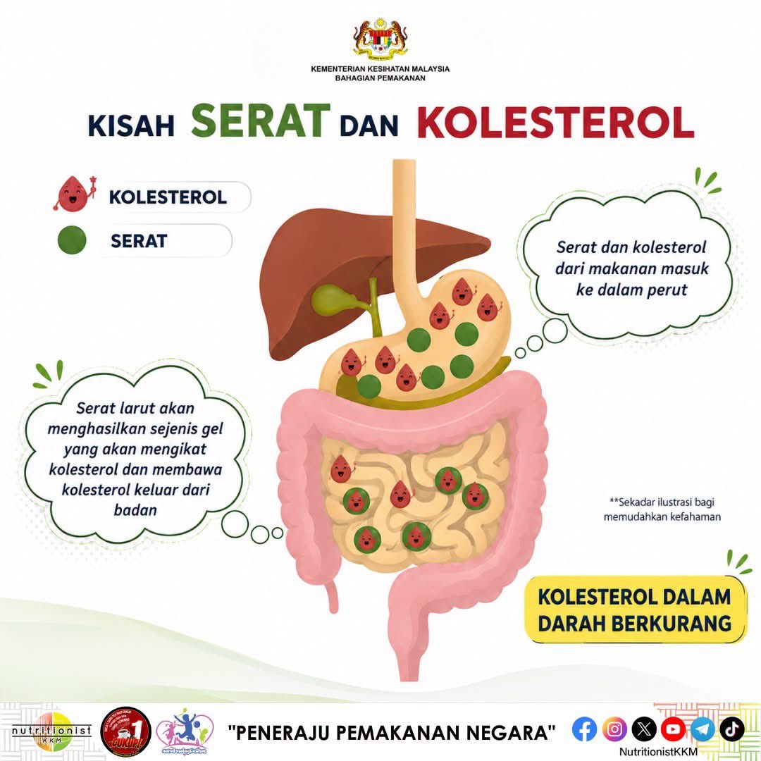 BhgPemakananKKM's tweet photo. 🥦 Serat bukan sekadar bantu lawas... tapi juga bantu kawal kolesterol! 🤯

Ramai tahu serat itu penting, tapi tahukah anda ada 2 jenis serat yang memainkan peranan berbeza dalam badan? 👇🏻

🟢 Serat Larut 
💧 Menyerap air dan membentuk gel yang membantu mengikat kolesterol serta https://t.co/f8cqlM8twH