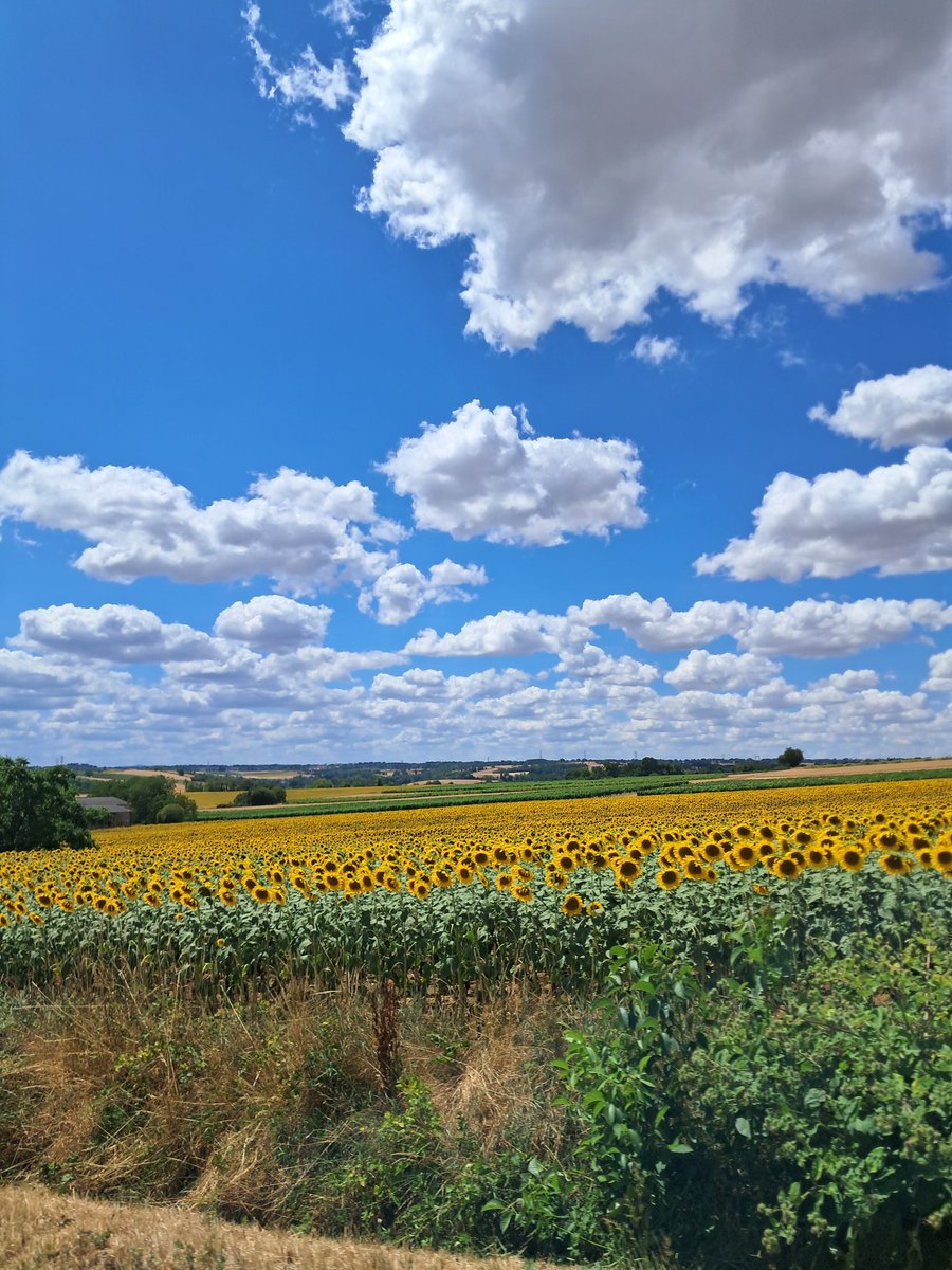 Cadetsandrine87's tweet photo. En passant...
Le ciel se donne en spectacle🌤🌻

A vous toutes et à vous tous,belle fin de journée et douce soirée. 

A plus tard ou à demain ! 😘🌠 https://t.co/6U6s8Q1h3R
