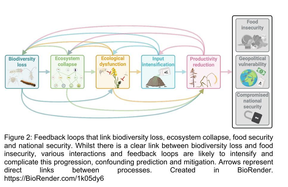 ecoevorxiv's tweet photo. Insects as agents of national security: entomological biodiversity loss and ecosystem collapse in agriculture and forestry threaten geopolitical stability 
https://t.co/Qx66exzCRd https://t.co/0wQZPGYfKw
