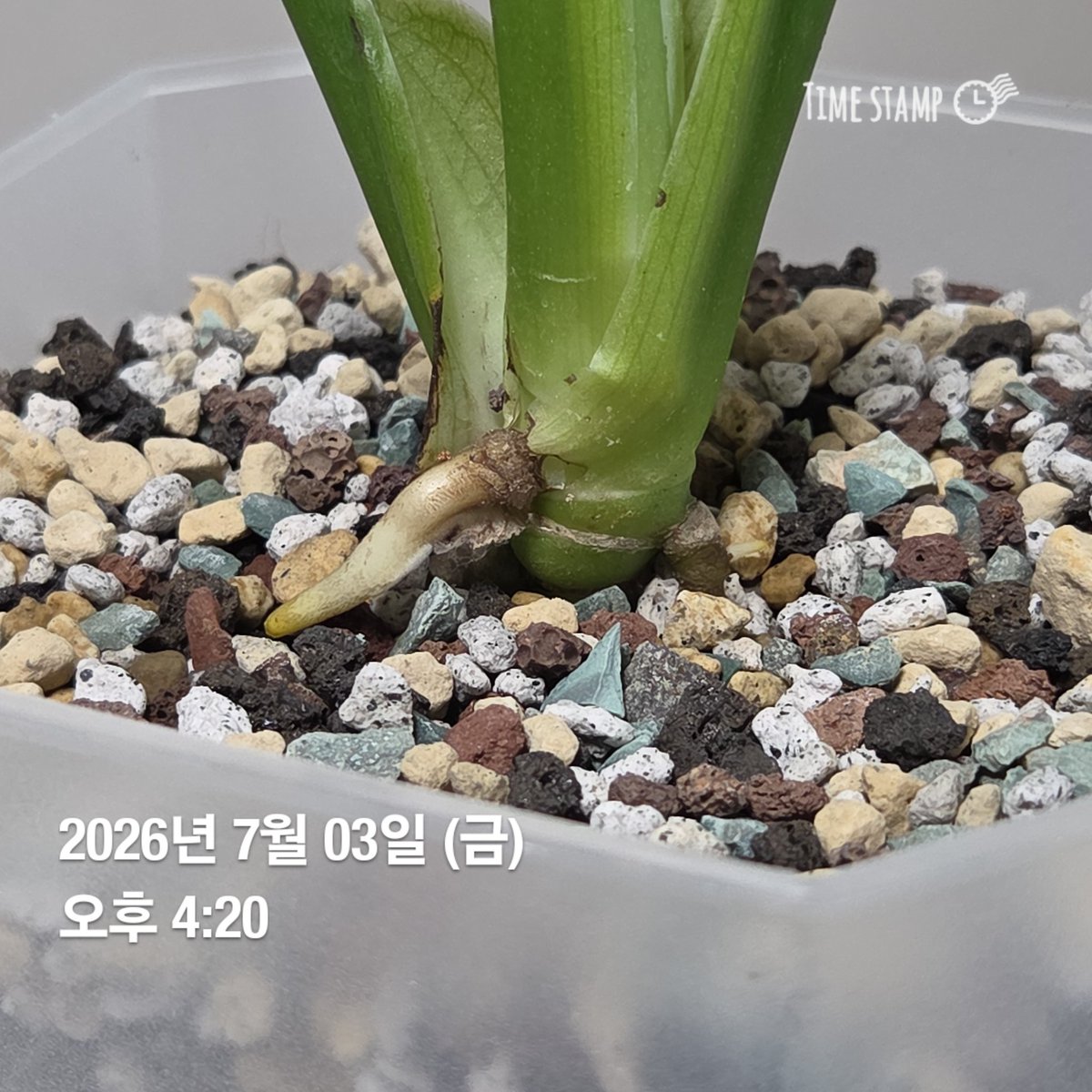 무탈한 하루 tweet media