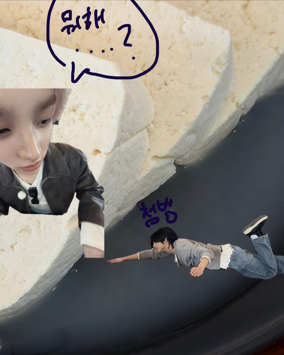 noohodmik's tweet photo. ㅋㅋㅋㅋㅋㅋㅋㅋㅋ 강릉 사진 개귀여움 https://t.co/xErpWuja4z