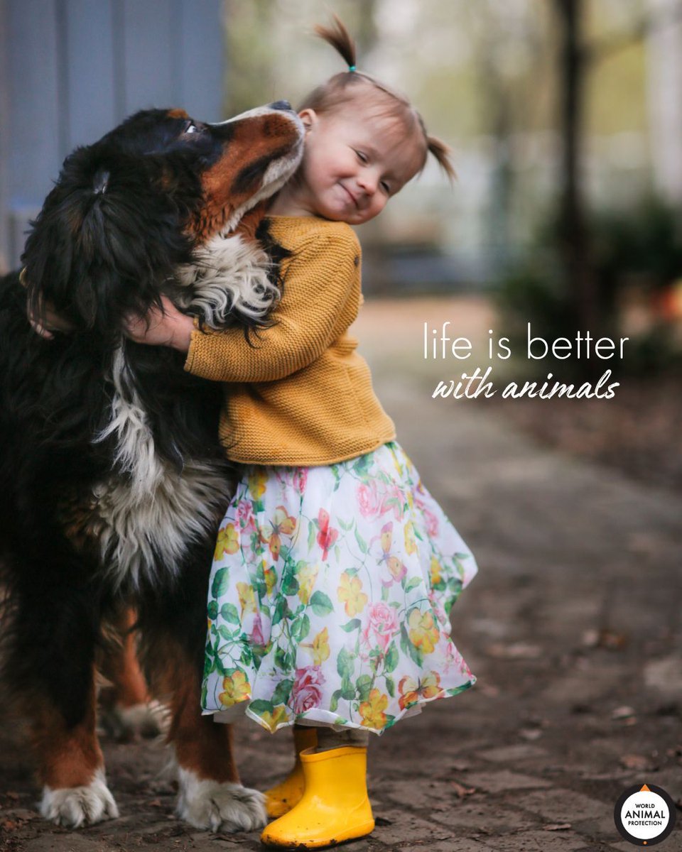 MoveTheWorldUS's tweet photo. Life is better when we care for animals. 🧡 https://t.co/45K3OpoH09