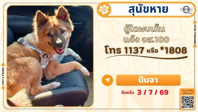 js100radio's tweet photo. สุนัขหายจากบ้านบริเวณวัดบางน้อย ต.จอมปลวก อ.บางคนที จ.สมุทรสงคราม ผู้ใดพบเห็นแจ้ง JS100 โทร *1808 หรือ 1137

รายละเอียดเพิ่มเติม : https://t.co/R3TvMaUNLe

#สุนัขหาย #ตามหาสุนัขหาย #JS100 https://t.co/7qikviiluw