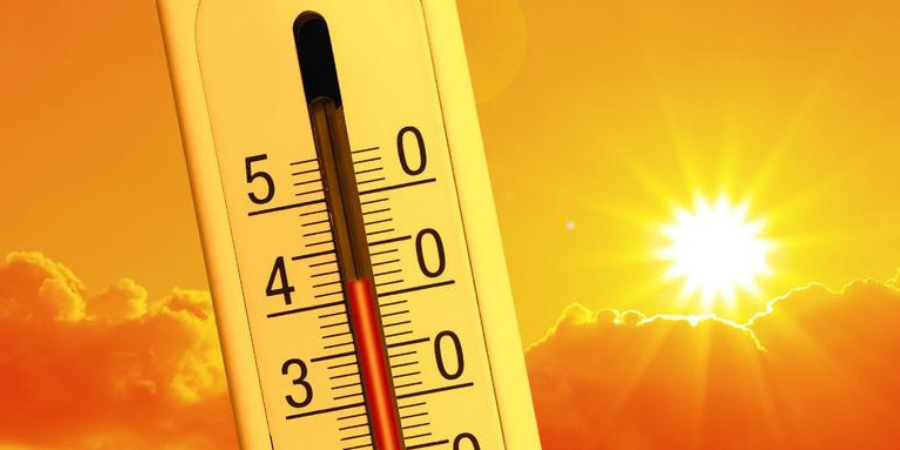 SindicatoUSO's tweet photo. 🔥 USO lanza su protocolo frente a las olas de calor
Las altas temperaturas ya no son una excepción: son un riesgo laboral que mata a 1.300 personas al año.
Exige que tu empresa tenga un plan de aclimatación y medidas reales de protección.

💧 Agua fresca, sombra y pausas no son un lujo, son tu derecho.

🔗 https://t.co/xP8rmuwAZO

#PrevenciónLaboral #OlasDeCalor #USO