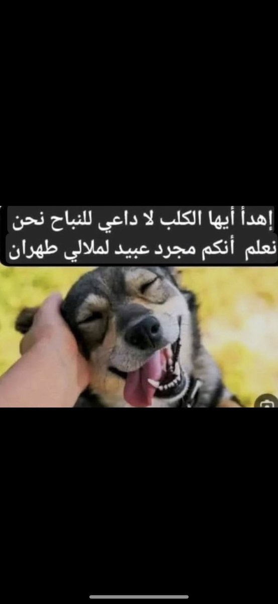 M1231Bader's tweet photo. @mohamme97652221 @19999DrSaLiM https://t.co/gQprRm6J9s