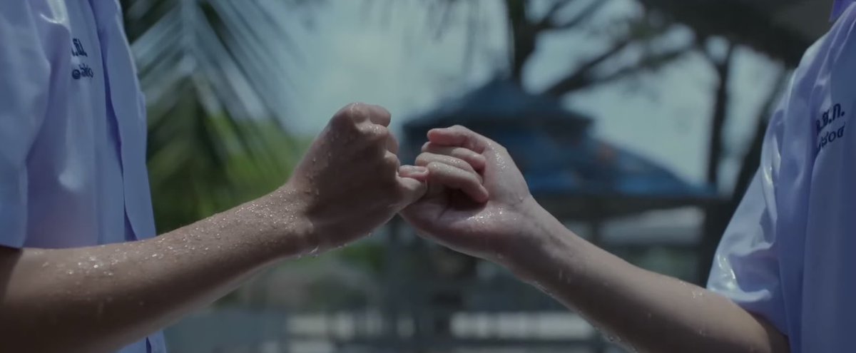 s8chans's tweet photo. koko holding hands is my favorite thing ever https://t.co/UK6bPYqyvW