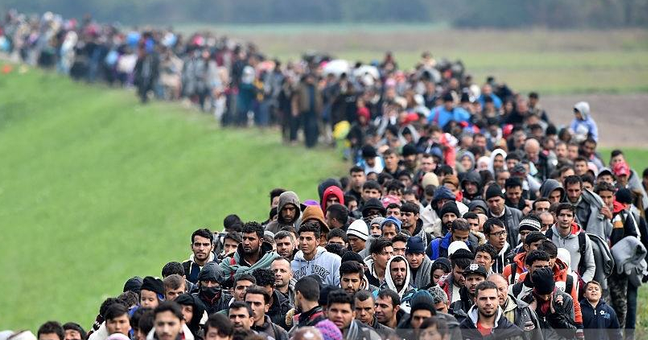 SaltyGoat17's tweet photo. Here's an exhaustive list of countries that you can sneak in illegally, dismiss all requirements for a valid visa, but still get free housing, free food, a phone and spending money 

AND...  have a baby and it becomes a citizen automatically.

.
.
.
America

Anyone else PISSED? https://t.co/hRNsTkYJI6