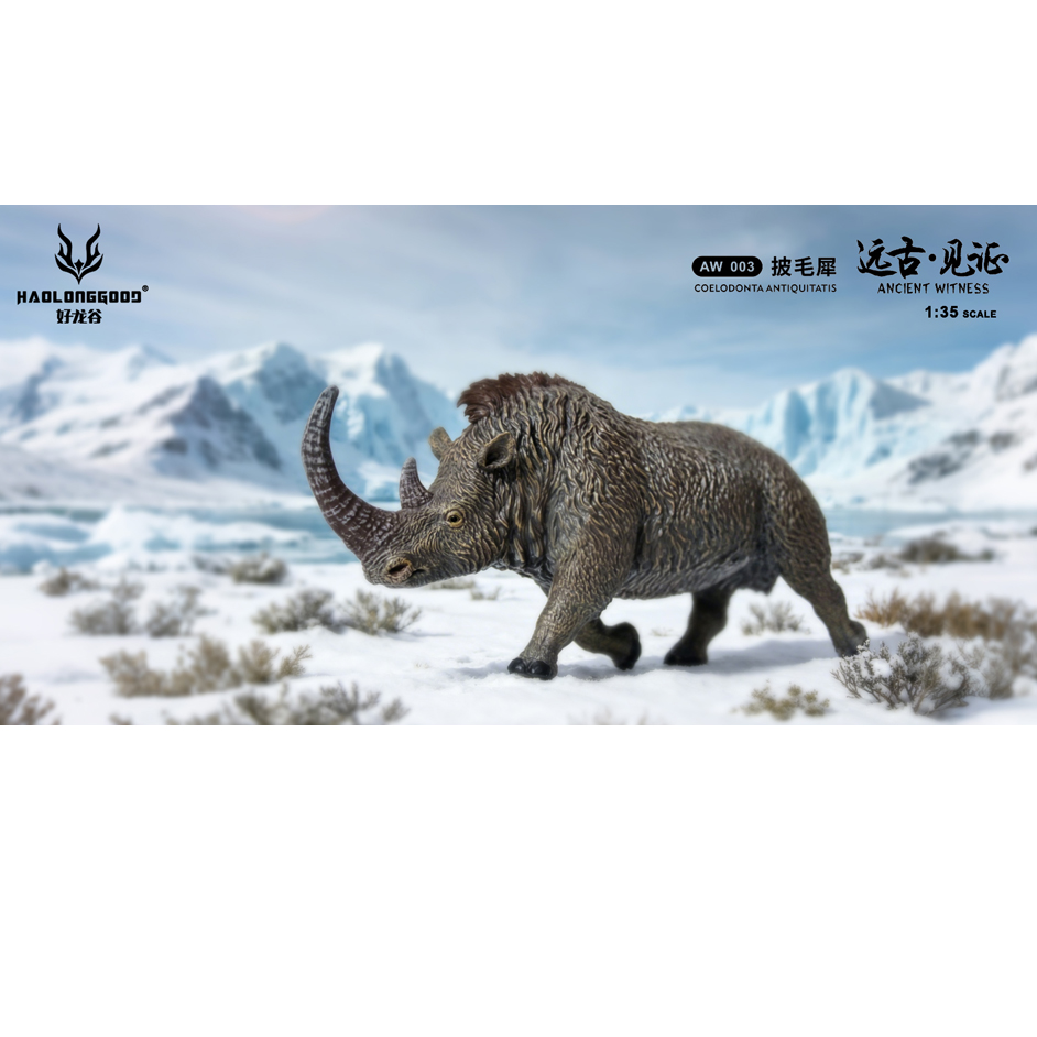 Everything_Dino's tweet photo. The 1:35 scale Haolonggood Coelodonta model is now in stock @Everything_Dino 

🔗https://t.co/hRHcBNOd5W

#EverythingDinosaur #HaolonggoodCoelodonta #Coelodonta #WoollyRhino https://t.co/7Hwf0DWUpJ