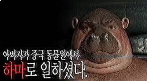 myonion_hoo's tweet photo. 아버지가 고척돔에서
카피바라로 일하셨다. https://t.co/BWqYHD23bN