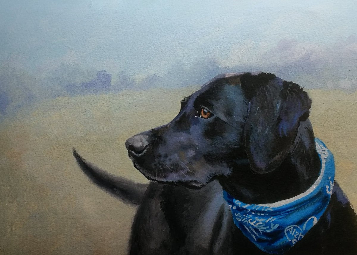 SpamAyres's tweet photo. Black Dogs we Have Painted #2
This is Sampson, a wise black lab who's not going to miss a trick. Painted partly in acrylics and partly oils, which was a bit messy, but got his beautiful, alert concentration right I think.
#dogsofinstagram #dogs #blacklabs #FridayThoughts https://t.co/LhH1NBiqfJ