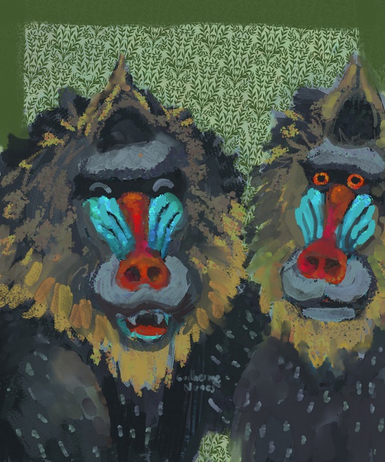 guilhernunes_'s tweet photo. Mandrill monkey is having a pleasant conversation with an acquaintance whose name he has forgotten and is too embarrassed to ask https://t.co/J9zBPYwmpZ
