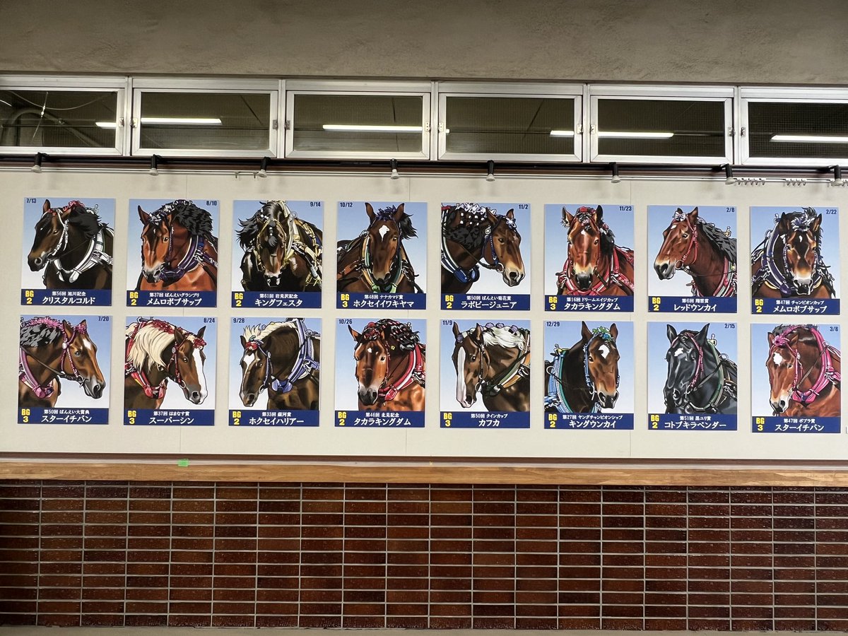 banbaphoto's tweet photo. 競馬場スタンド南側には、MAYUさんのイラスト2025重賞回顧が登場😆 https://t.co/zq5FOsyZf7