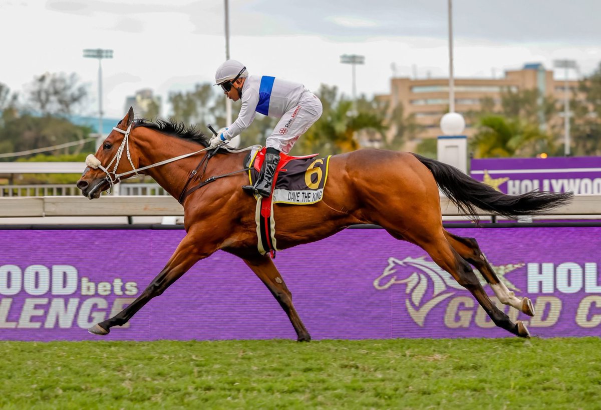 DeKockRacing's tweet photo. Our runners for Hollywoodbets Durban July Day, Saturday and Turffontein on Sunday, powered by and thank you to our stable sponsors, @luckyfishza https://t.co/TqCAg2w5UB https://t.co/AUcTayoXrN