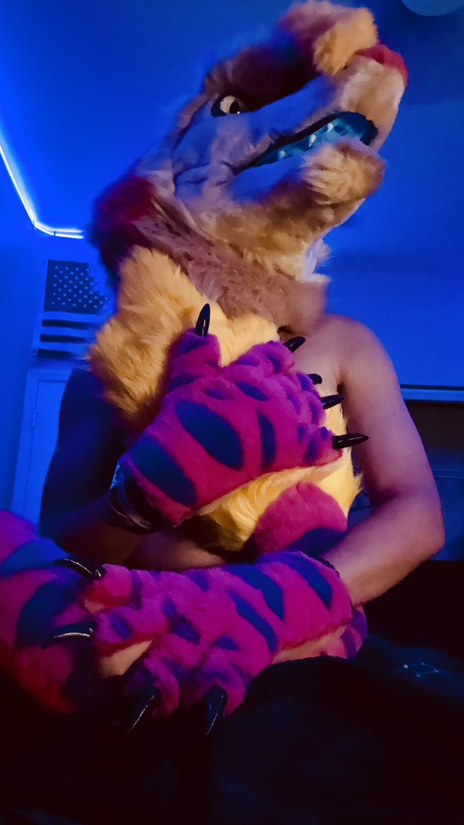 PurpleCheeAD's tweet photo. I love my new suit✨
Gonna make vids with it soon ;3

#sergal #sergalfursuit #furry #fursuit https://t.co/ijjykPWzZi