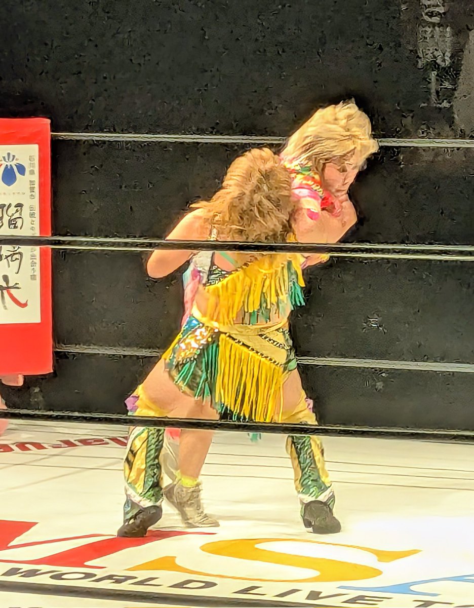 yellowwave0124's tweet photo. 2026/07/02　新木場大会
#マーベラスプロレス
メインイベント
🐝黄色軍団 🦊
　　　　🆚
　ボブボブモモ🍑バナナ🍌

裏投げ💫
　　       
#永島千佳世 
#桃野美桜 https://t.co/xvT0N31Ck8