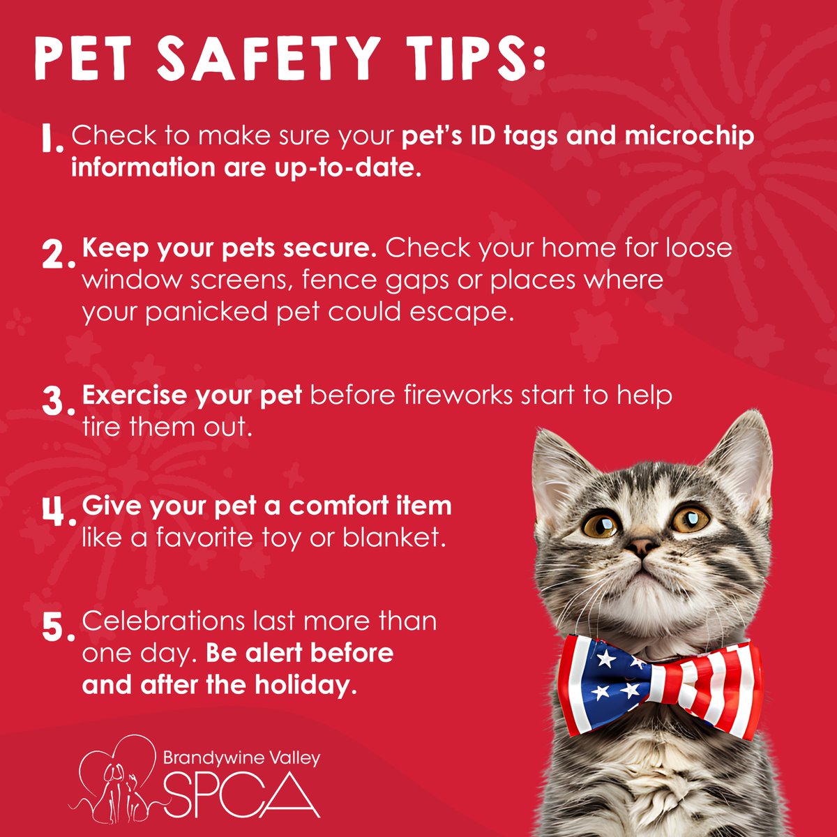 BrandywineSPCA's tweet photo. Pearl from our New Castle campus would like to remind you that all BVSPCA shelter locations will be closed tomorrow, July 4, in observance of Independence Day. This also means there will be no Shelter Skip Days and no Express Pet Health Clinic at our Georgetown campus. https://t.co/DP20KolCXP