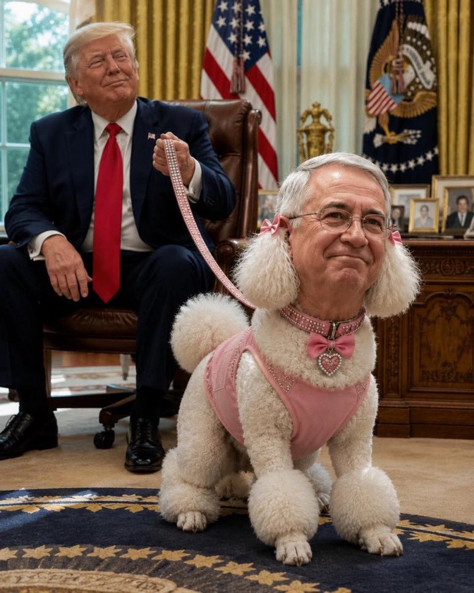 saburguete's tweet photo. Dicen que Salinas Pliego y todos sus jilgueros están muy molestos porque no dejan de llamarlo la Perrita de Trump.
Hagamos que no se le olvide!
No le des Rt! https://t.co/BH5yzt0CG0
