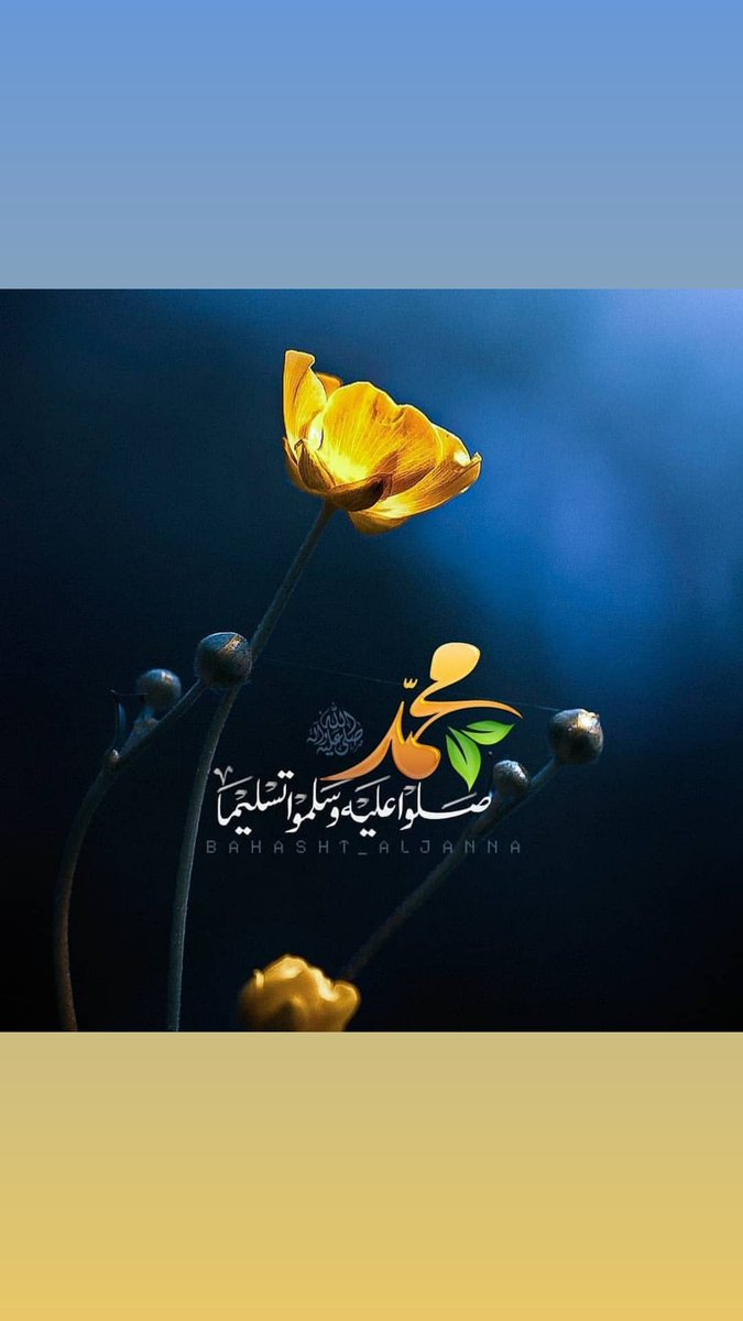 _o79_'s tweet photo. يقول المستشرق الإنجليزي إدورد وليم لين :
"النبي محمد " ﷺ "
جاء بالأخلاق، وهي أخلاق عاشت وستظل إلى يوم البعث قائمة ولن ينال المغرضون الكارهون لنبي الإسلام منه شيئًا وسيظل الإسلام شامخًا بقرآنه وبالنبي محمد "ﷺ https://t.co/ADYHsU4emB