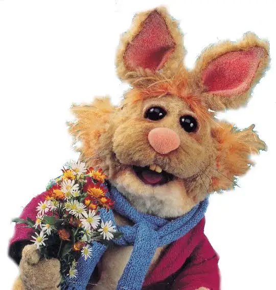 alexxisfalcon's tweet photo. Jobbers 

Pepe the prawn - I’d give him his own segment for a little bit but unfortunately he would ultimately be a jobber. 

Bean bunny - really cute but would have to have him be squashed in 0.5 seconds https://t.co/DDefrHZU0e