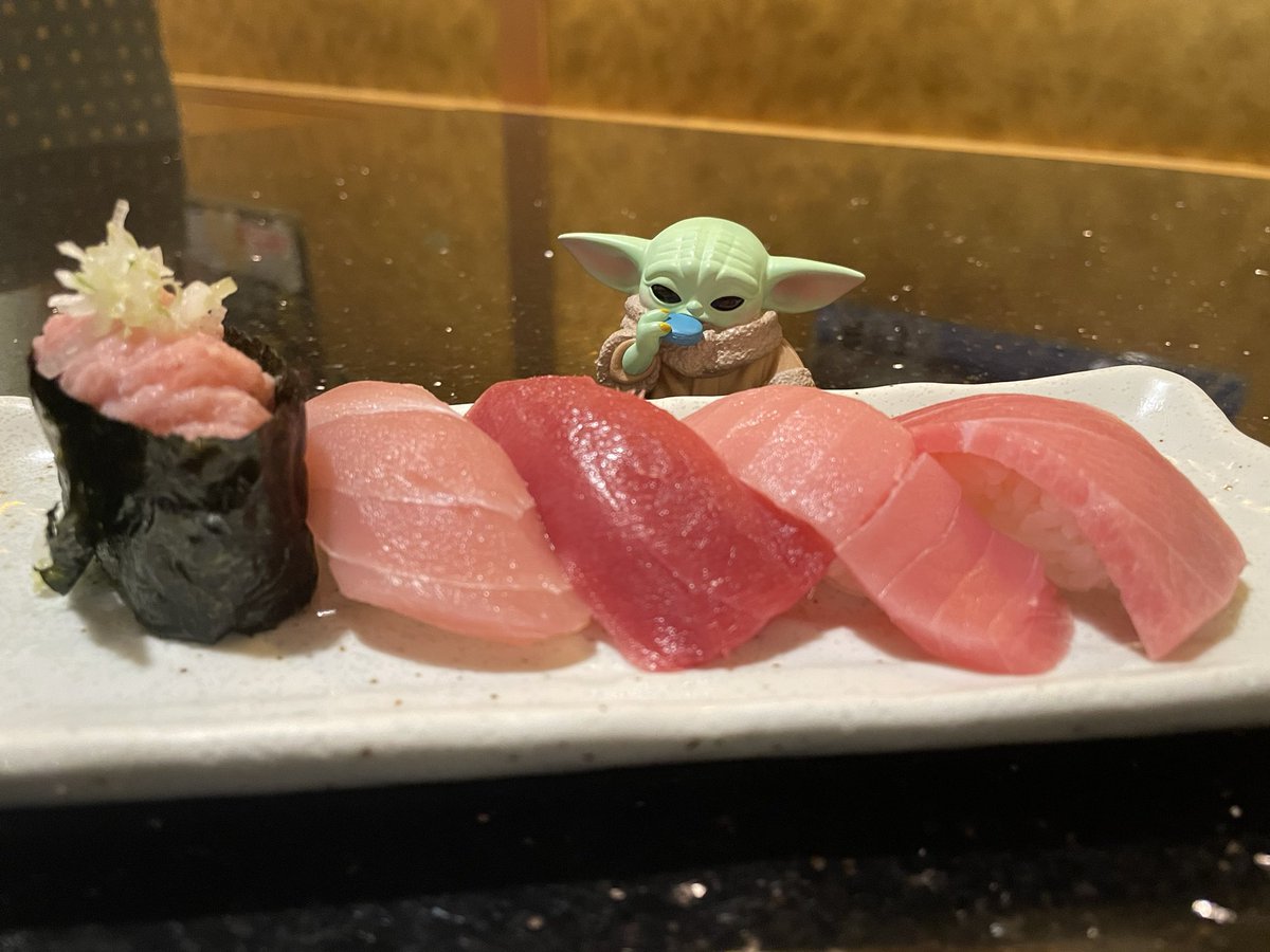 cp_kedama's tweet photo. グローグー、今日はちょっと良いお寿司だよ🍣
好きなだけお食べ https://t.co/uJXRGolFmJ