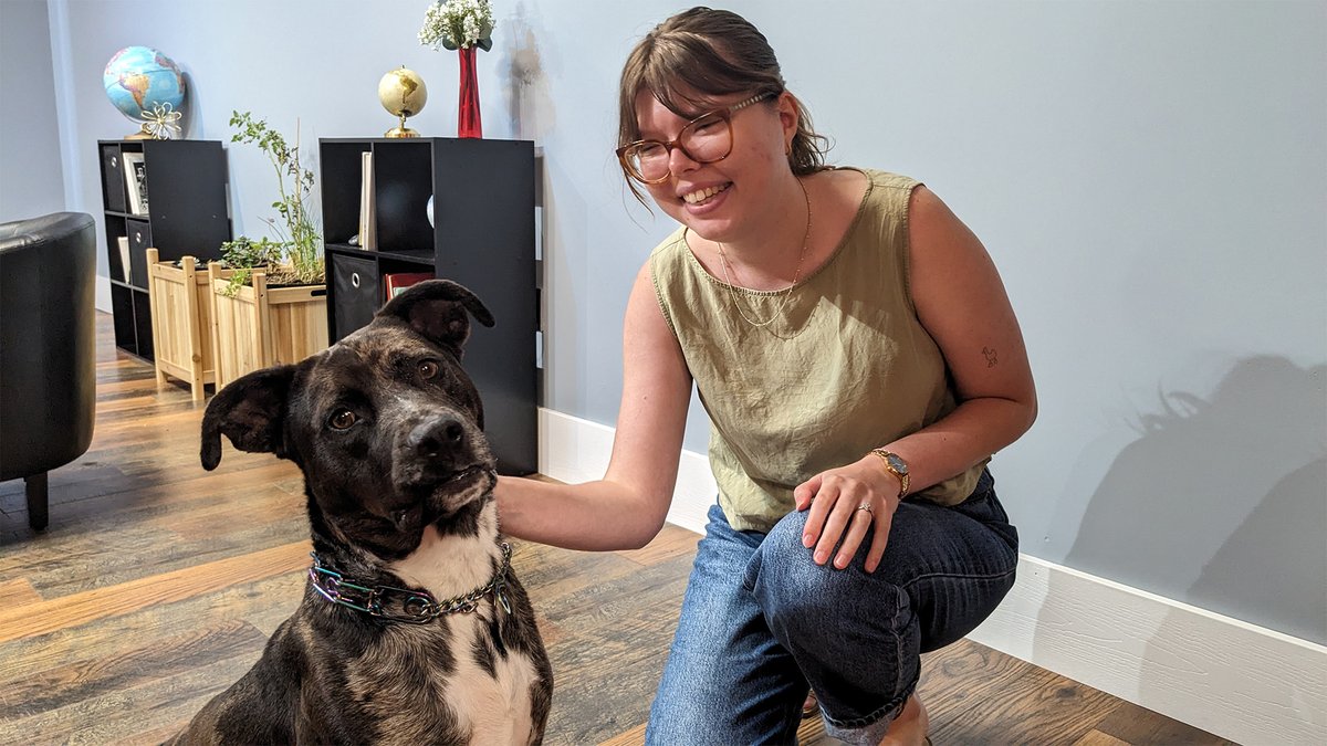 radarfreepress's tweet photo. 🐶 Meet Gemini—the rescue dog everyone falls in love with. Could you be his forever family? ❤️

Watch the latest Along the Rock Pet of the Week:
https://t.co/RksArHZ6qR
#AdoptDontShop #PetOfTheWeek #RescueDog https://t.co/d81KxLYF1r