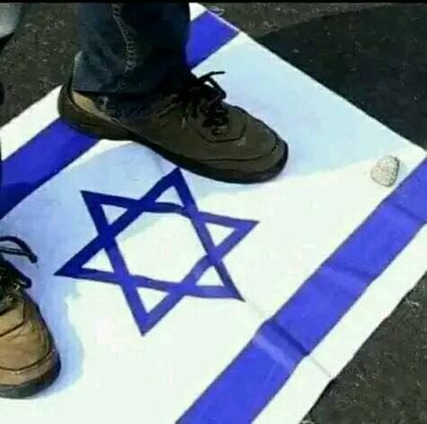 SmieAli's tweet photo. @EdyCohen وأنت شو حشر أمك عرب و مسلمين مالكم دخل يا غدة السرطان الكيان الصهيوني https://t.co/0whJe94lOg