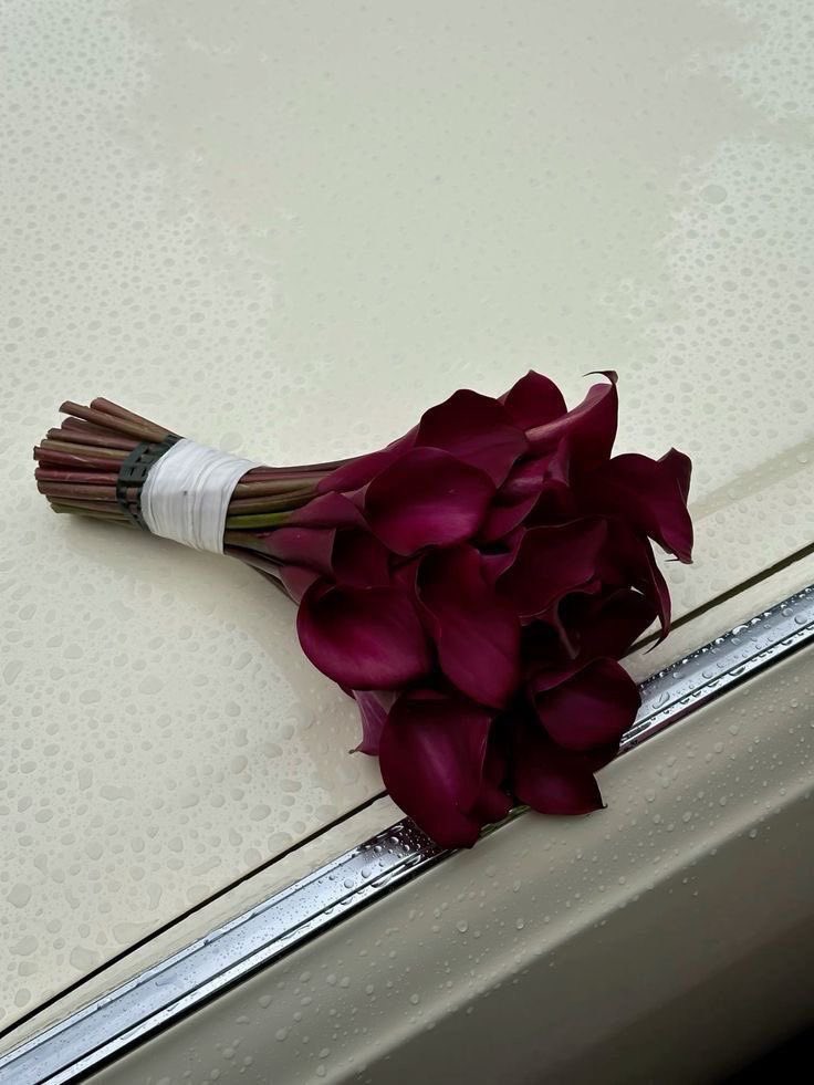 i3Moment's tweet photo. Burgundy calla lilies https://t.co/yMztD3dsJ3