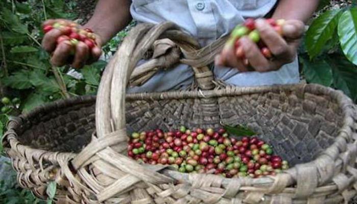 NoaRaul5387's tweet photo. Nuevas medidas económicas impulsan el desarrollo comunitario en Cuba. #Economía #CubaEstaFirme #CubaSoberana #MisManosPorCuba #DondeLateMiFuturo https://t.co/YRqnhH3e2v