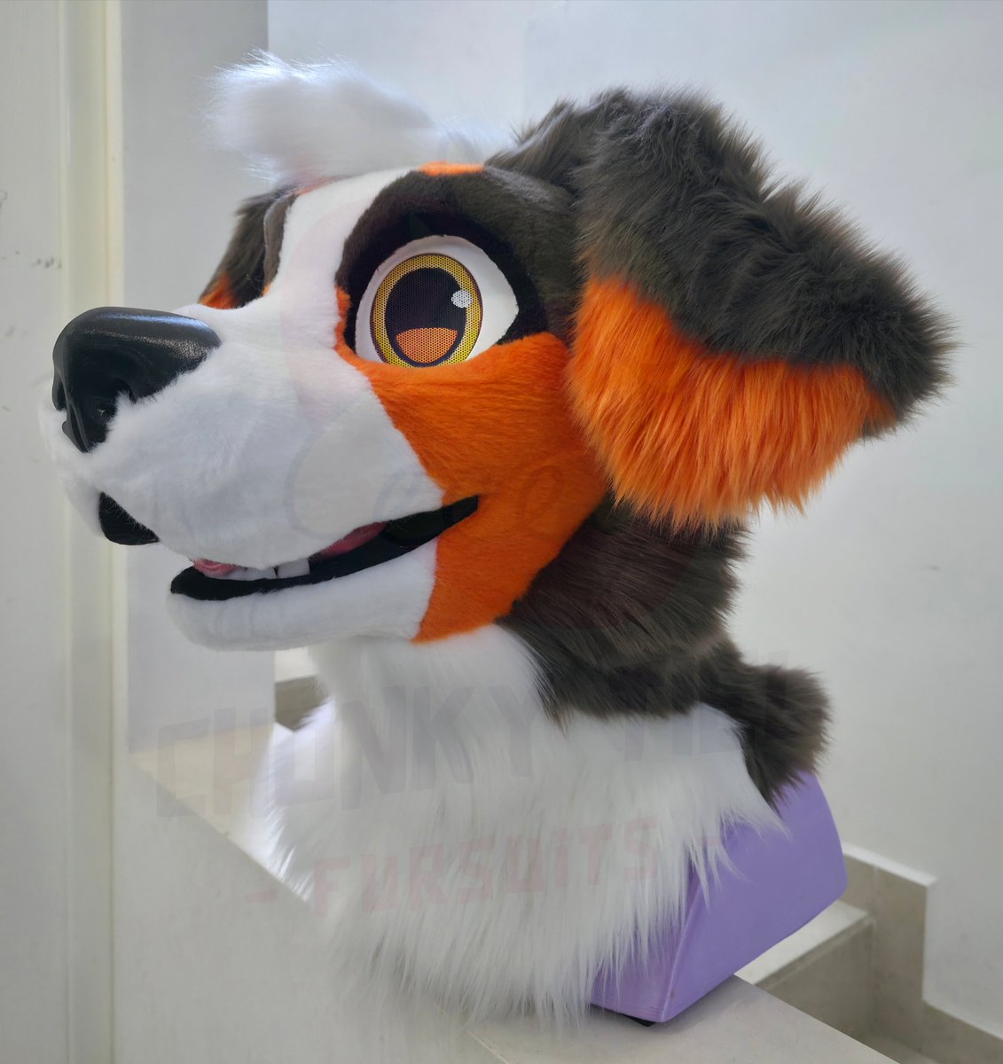 Chonky_Tiel's tweet photo. Apollo is done ✅️ and He's at home now ! 🇲🇽

We loved working with this little Bernese Mountain Dog🥰

This is a head on 3D printed base + tail

He’ll be making his owner happy soon! 🐦

A friendly reminder that we still have slots available for this year!

 #ChonkyTielFursuits https://t.co/agn8yWMMes
