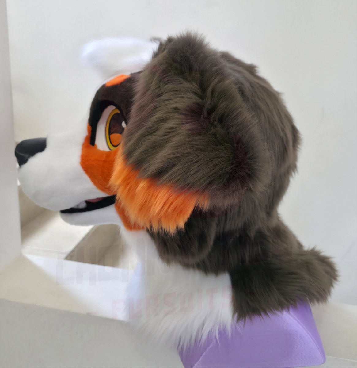 Chonky_Tiel's tweet photo. Apollo is done ✅️ and He's at home now ! 🇲🇽

We loved working with this little Bernese Mountain Dog🥰

This is a head on 3D printed base + tail

He’ll be making his owner happy soon! 🐦

A friendly reminder that we still have slots available for this year!

 #ChonkyTielFursuits https://t.co/agn8yWMMes