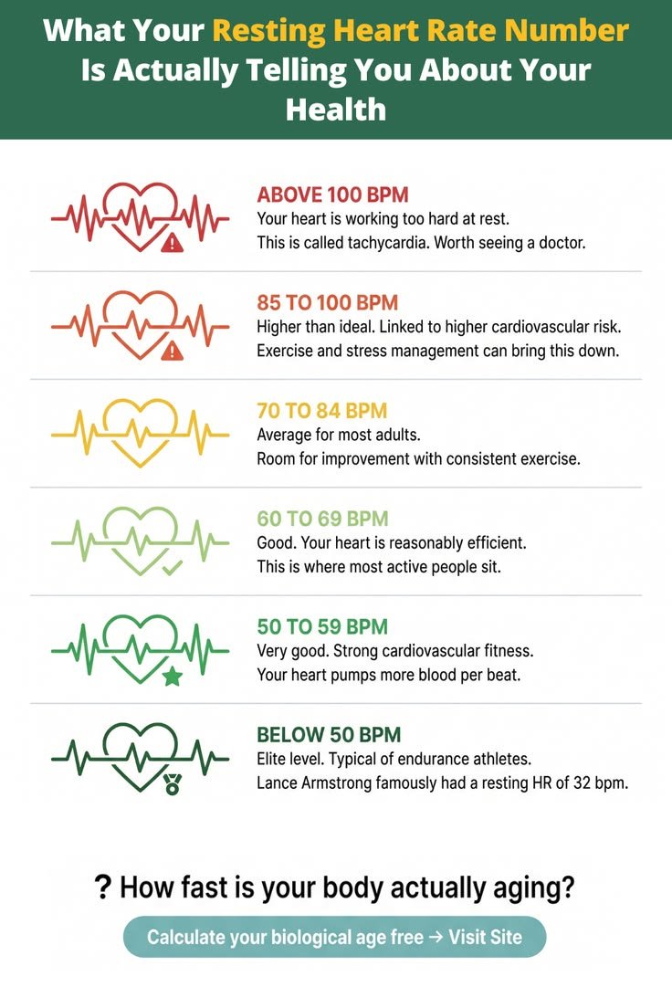 achievlongevity's tweet photo. Your Resting Heart Rate tells the whole story.

95+ bpm - Heart is working overtime to keep you alive.
90 bpm - Sedentary and stressed.
80 bpm - https://t.co/vlg7dEjmTA