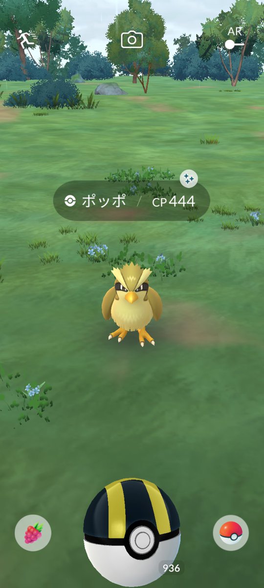 gel12031's tweet photo. 今日の成果！

エレブー 💯
ポッポ 色違い✨

＃ポケモンGO
＃エレブー
＃高個体値
＃ポッポ
＃色違い https://t.co/JmUA6X7UxH