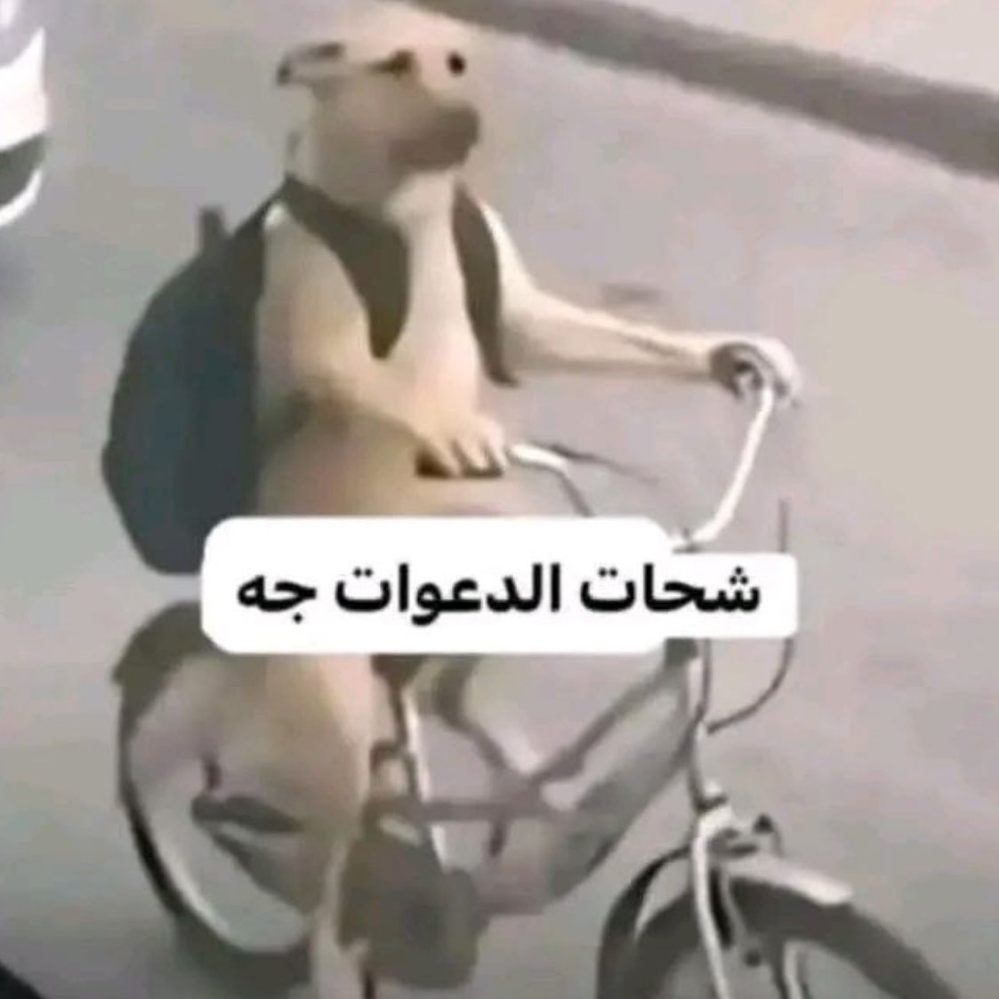 ny_u00's tweet photo. ادعوا لي باخر ساعه من الجمعه https://t.co/bMVGzfAstz