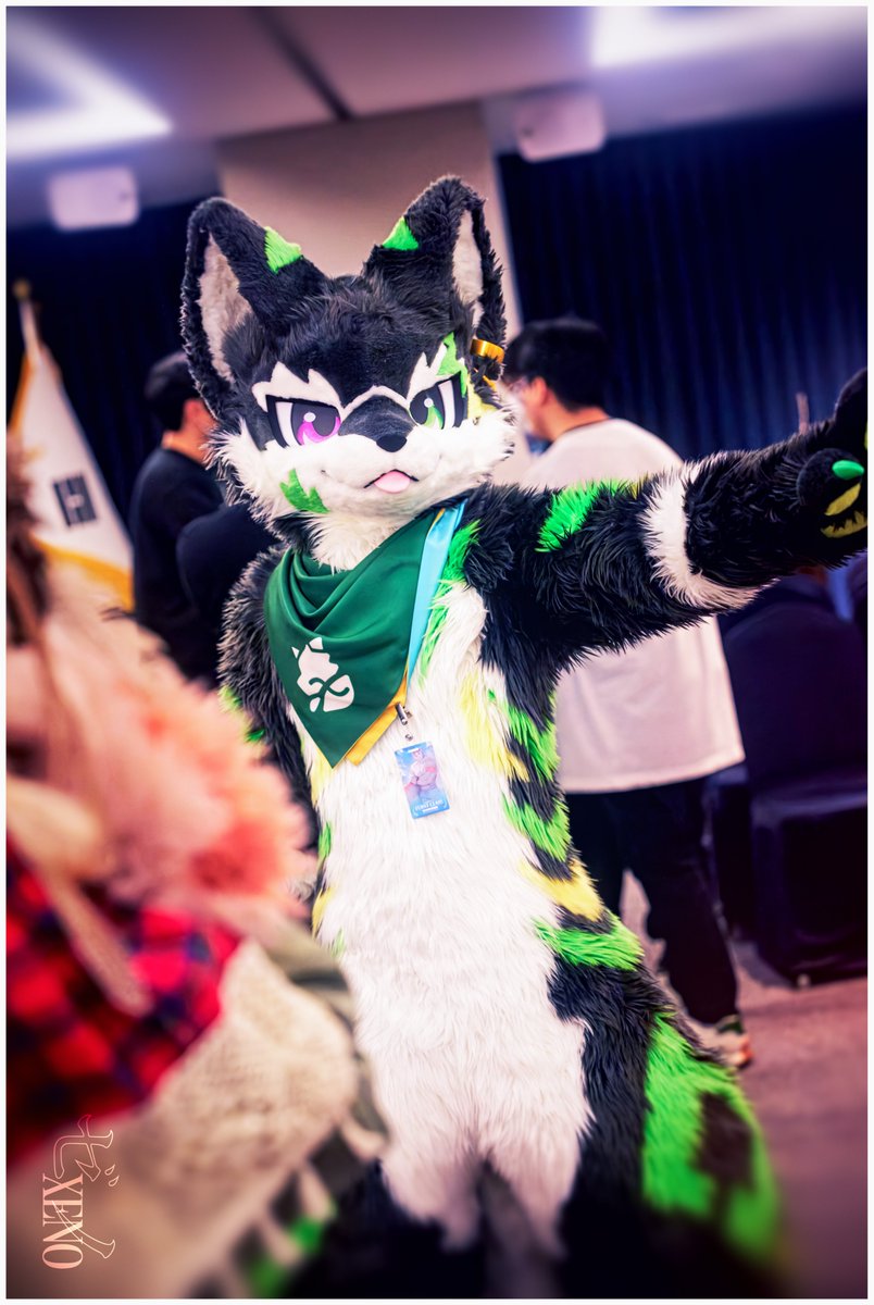 torrrgal's tweet photo. #FURSTCLASS_TRIP https://t.co/xOMut3fgZ4
