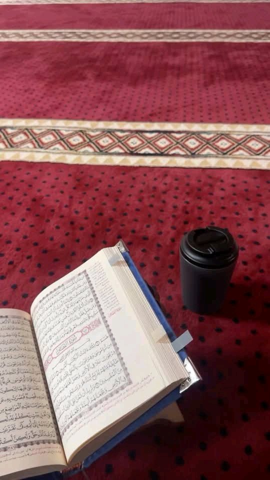سارة عبد العزيز مهدي tweet media