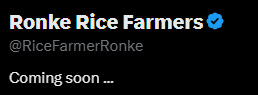 Ronke Rice Farmers tweet media