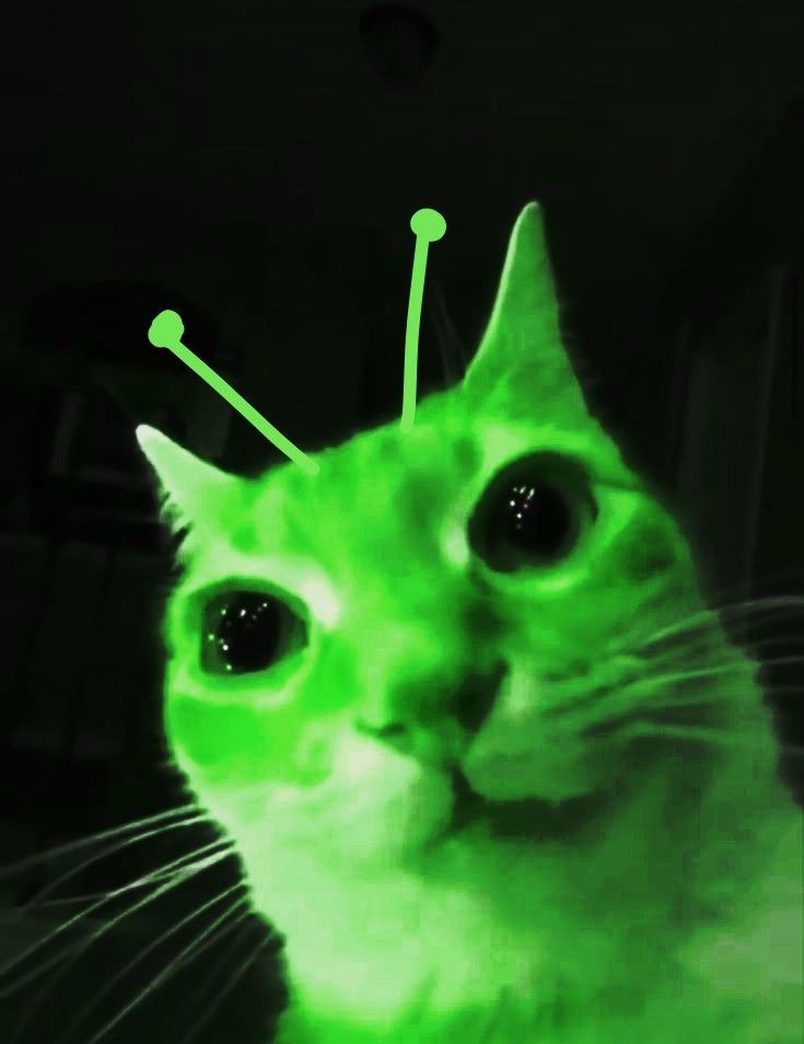 hardong0956's tweet photo. @pyuuninfur 🚀###♤🚀👾¿👽♤¿¿¡:👽:♧♧ https://t.co/hLo4C3YtTA