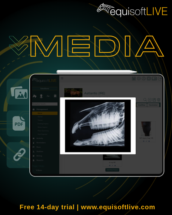 equisoftlive's tweet photo. 🄼🄴🄳🄸🄰
🖼️ Conformation images, x-rays
📄 Passports, pedigrees, vet reports, vet certs
🔗 Links
Access your horse records anytime, anywhere☁️
#EquisoftLIVE #HorseManagement #DigitalRecords https://t.co/UfJwxoXSeY