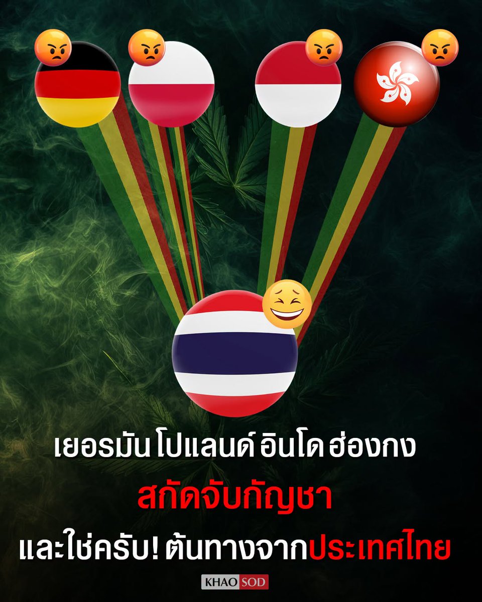 TarotYouuuu's tweet photo. สิ้นหวังแล้วประเทศกู โดนประเทศต่างๆ มองว่าเป็นขี้ยาหมดแล้ว กลายเป็นแหล่งส่งออกกัญชาเรียบร้อย อีอนุทิน มึงแหกตามาดูบ้าง กัญชามึงอ่ะ ทำลายภาพลักษณ์ประเทศหมดแล้ว เหี้ยมากจริงๆ !!!!!

#โหนกระแส
#การบินไทย #เฮโรอีน https://t.co/U1diY0rhak
