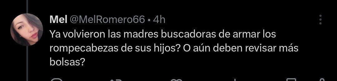 MerGarza's tweet photo. Oye @MelRomero66, se te cayó esta PENDEJADA, ven a recogerla. https://t.co/ZfAqKxvS3f