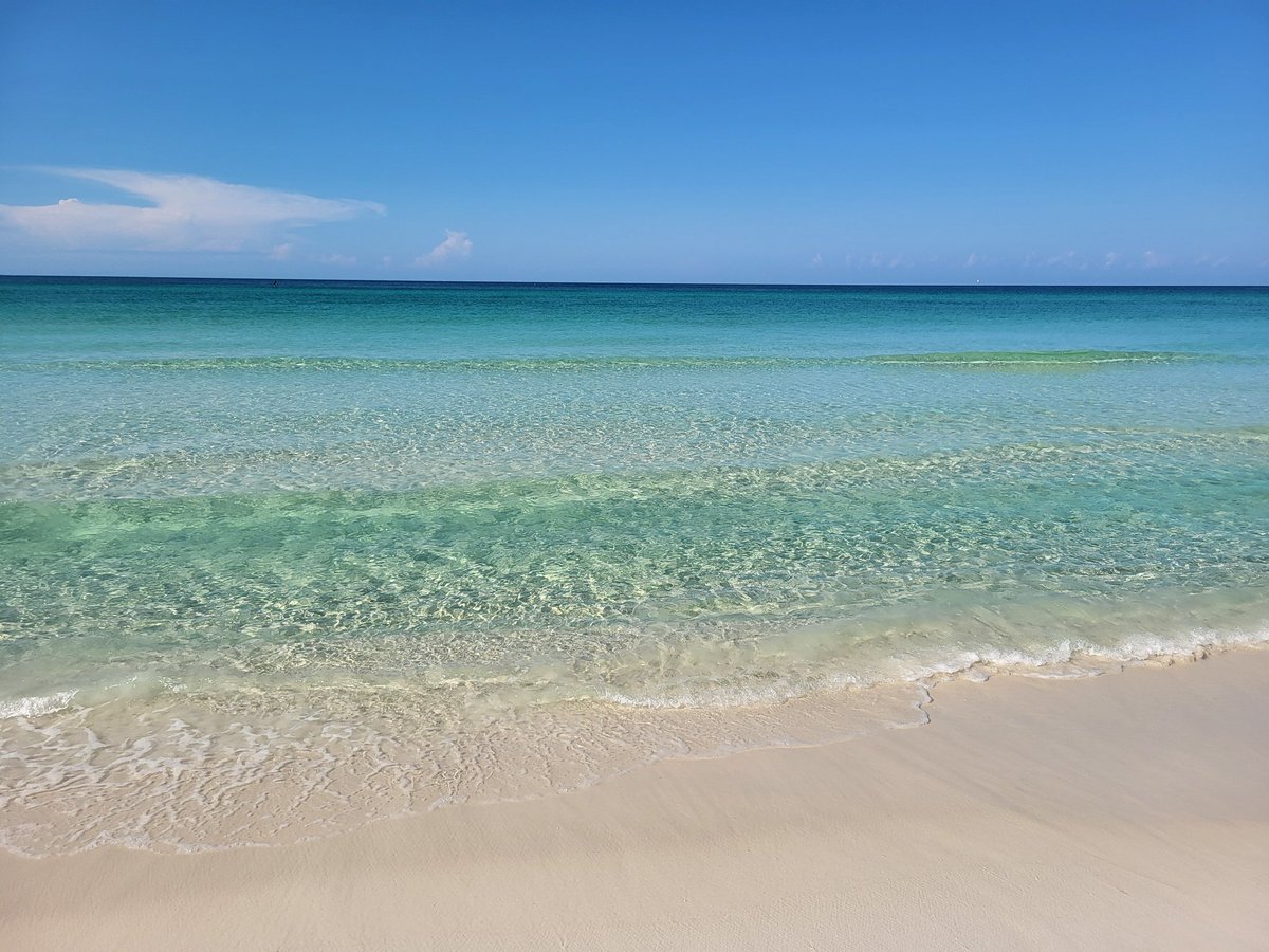 JeffStolle's tweet photo. Grayton Beach State Park. Hope everyone has a great holiday!! #therealflorida https://t.co/EiTvhiAsun